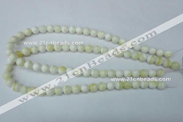 CSB953 15.5 inches 10mm round shell pearl beads wholesale