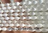 CSE634 15 inches 6*9mm rice selenite beads wholesale