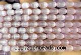 CSE694 15 inches 6*9mm rice selenite beads wholesale