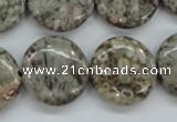 CSF01 15.5 inches 20mm flat round shell fossil jasper beads