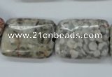 CSF09 15.5 inches 18*25mm rectangle shell fossil jasper beads