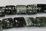 CSH102 15.5 inches 12*12mm square natural seraphinite gemstone beads