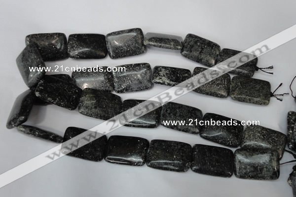 CSI117 15.5 inches 22*30mm rectangle silver scale stone beads