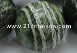 CSJ12 15.5 inches 30mm round green silver line jasper beads wholesale