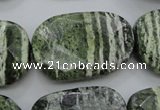 CSJ127 15.5 inches 20*30mm faceted freeform green silver line jasper beads