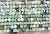 CSJ300 15.5 inches 4mm round serpentine new jade beads wholesale