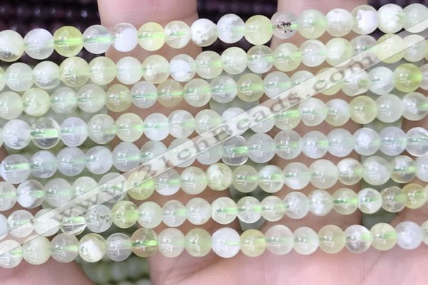 CSJ310 15.5 inches 5mm round serpentine new jade beads