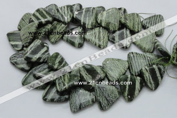 CSJ35 15.5 inches 30*30mm triangle green silver line jasper beads