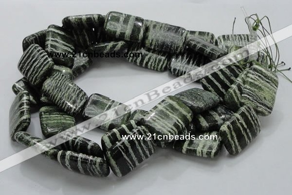 CSJ39 15.5 inches 22*30mm rectangle green silver line jasper beads