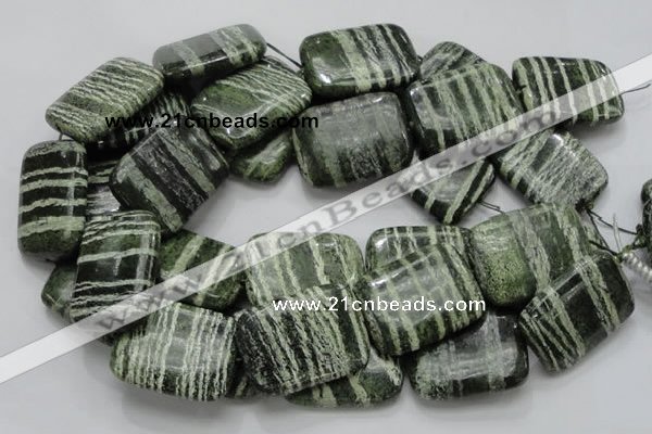 CSJ40 15.5 inches 30*40mm rectangle green silver line jasper beads