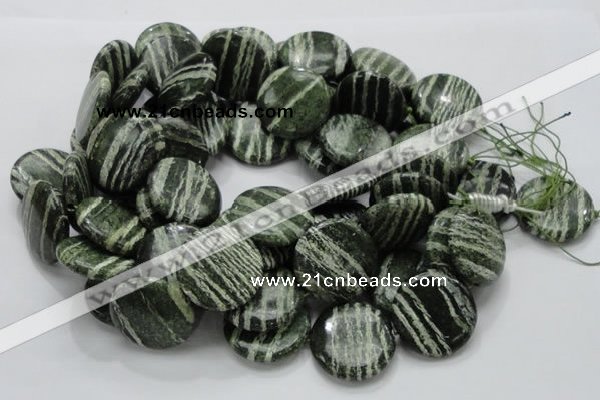 CSJ46 15.5 inches 30mm flat round green silver line jasper beads