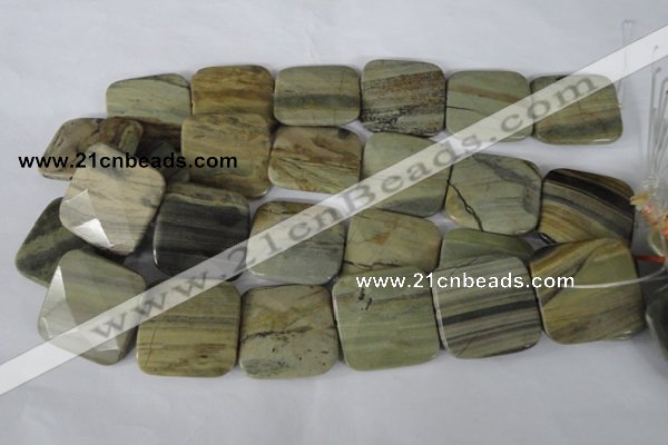 CSL122 15.5 inches 30*30mm faceted square silver leaf jasper beads