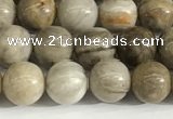 CSL151 15.5 inches 6mm round 

sliver leaf jasper beads wholesale