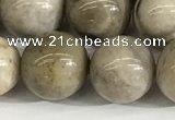 CSL154 15.5 inches 12mm round 

sliver leaf jasper beads wholesale