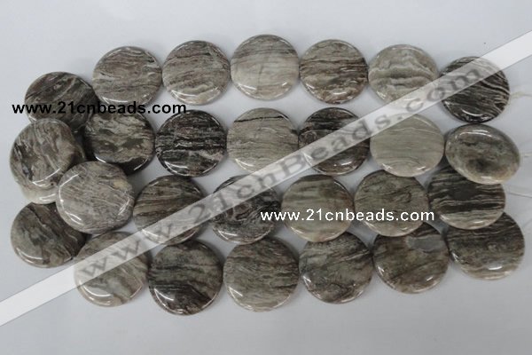 CSL35 15.5 inches 30mm flat round silver leaf jasper beads wholesale