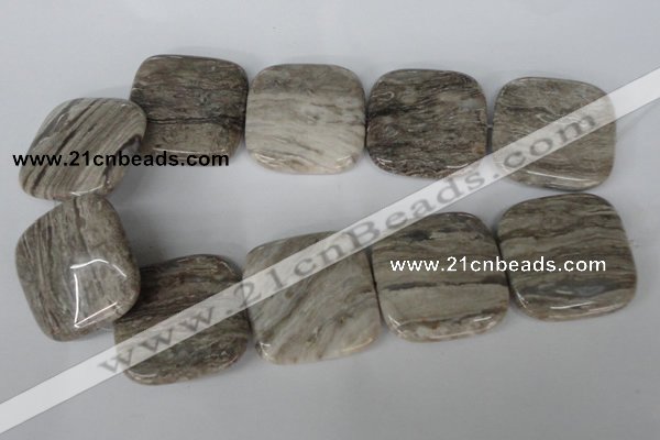 CSL59 15.5 inches 40*40mm square silver leaf jasper beads wholesale