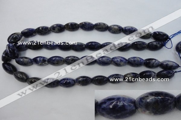 CSO359 15.5 inches 11*18mm trihedron natural sodalite beads