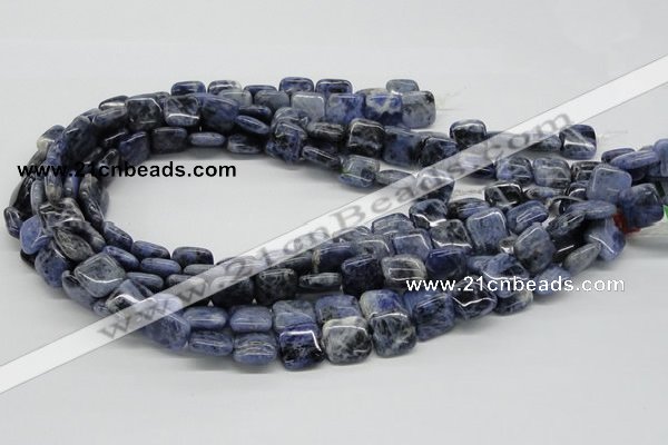 CSO44 15.5 inches 14*14mm square sodalite gemstone beads wholesale