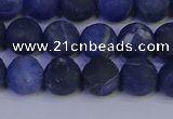 CSO543 15.5 inches 10mm round matte sodalite beads wholesale