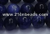 CSO614 15.5 inches 12mm round sodalite gemstone beads wholesale