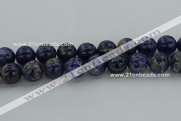 CSO639 15.5 inches 20mm round sodalite gemstone beads wholesale