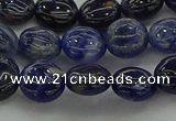 CSO670 15.5 inches 10mm flat round sodalite gemstone beads