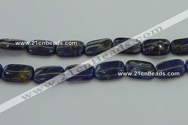 CSO700 15.5 inches 18*25mm rectangle sodalite gemstone beads