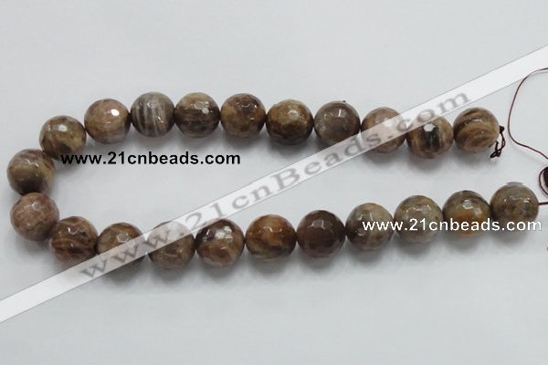 CSS101 15.5 inches 18mm faceted round natural sunstone beads wholesale