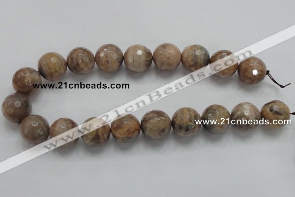 CSS102 15.5 inches 20mm faceted round natural sunstone beads wholesale