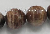 CSS103 15.5 inches 22mm faceted round natural sunstone beads wholesale