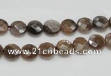 CSS104 15.5 inches 8mm faceted coin natural sunstone beads wholesale