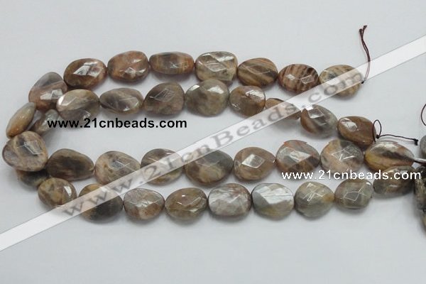 CSS111 15.5 inches faceted freeform natural sunstone beads wholesale