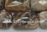 CSS115 15.5 inches 20*30mm faceted rectangle natural sunstone beads