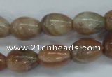 CSS248 15.5 inches 12*16mm teardrop natural sunstone beads