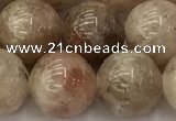 CSS724 15.5 inches 12mm round sunstone beads wholesale