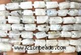 CTB1270 15 inches 6*10mm - 8*12mm faceted tube white moonstone beads