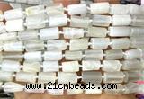 CTB1272 15 inches 6*10mm - 8*12mm faceted tube white moonstone beads