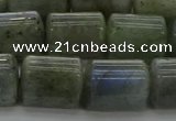 CTB513 15.5 inches 10*13mm triangle AB grade labradorite beads wholesale