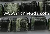 CTB527 15.5 inches 10*13mm triangle green silver line jasper beads