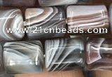 CTB607 15.5 inches 8*10mm tube Botswana agate gemstone beads