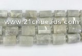 CTB876 13*25mm - 14*19mm faceted tube moonstone beads