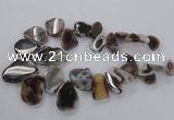 CTD1618 Top drilled 15*25mm - 30*45mm freeform botswana agate beads