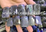 CTD2105 Top drilled 20*28mm - 22*32mm faceted freeform labradorite beads