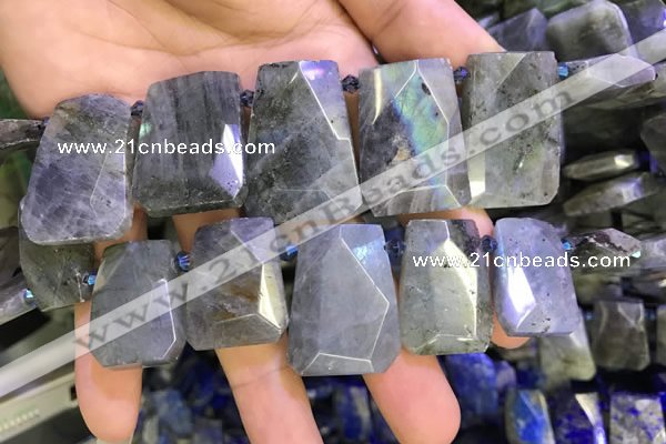 CTD2105 Top drilled 20*28mm - 22*32mm faceted freeform labradorite beads