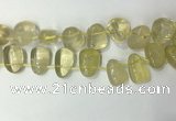 CTD2142 Top drilled 15*25mm - 18*25mm freeform lemon quartz beads