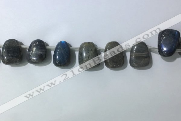 CTD2151 Top drilled 15*25mm - 18*25mm freeform labradorite beads