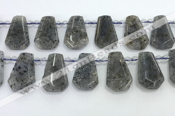 CTD2352 Top drilled 16*18mm - 20*30mm freeform moss quartz beads