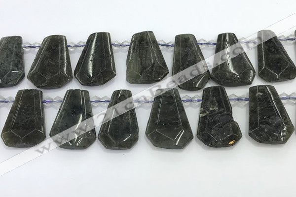 CTD2353 Top drilled 16*18mm - 20*30mm faceted freeform labradorite beads