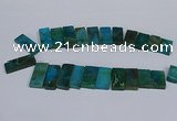 CTD2667 Top drilled 14*27mm - 16*42mm rectangle agate jasper beads