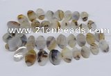 CTD2825 Top drilled 15*25mm - 25*35mm freeform Montana agate beads